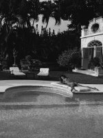 Alessandra for @lavarice_.jpg