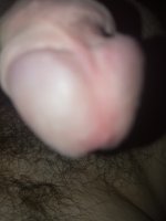 IMG_20230807_025342.jpg
