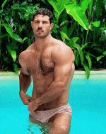 tumblr_4762cec30cce7cfb4cd47edbdb9a1dfd_63cd753b_640 (1) (1).gif