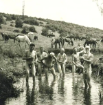 Screenshot 2025-12-13 09.12.30.png