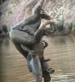 Screenshot 2025-12-18 06.09.10.png