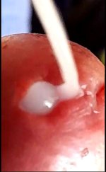 WhatsApp Image 2022-10-03 at 16.22.20.jpeg