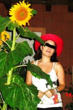 Verano 2010 casa 2r.jpg