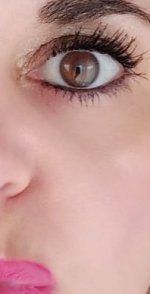 IMG_20251220_174527.jpg IMG_20251220_174527.jpg