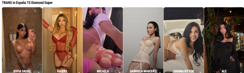 Screenshot 2025-12-23 at 21-37-51 Escorts TRANS Travestis España 💎 Ts Shemales Bonecas.png