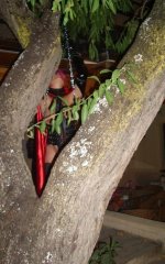 Nada 2006 376 1 - copia.JPG