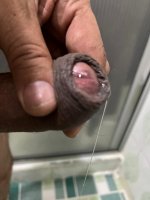 WhatsApp Image 2025-12-27 at 1.38.52 PM (2).jpeg