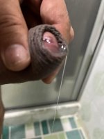 WhatsApp Image 2025-12-27 at 1.38.52 PM (3).jpeg