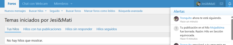 Captura de pantalla 2025-12-29 004517.png