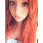 [image] - 912370.jpg