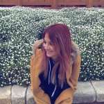 [image] - 1937621.jpg