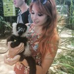 [image] - 1962545.jpg