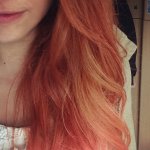 [image] - 3347131.jpg