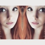 [image] - 4121557.jpg