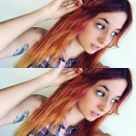 [image] - 6586608.jpg