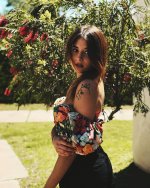 [image] - 8391094.jpg