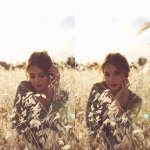 [image] - 9951548.jpg