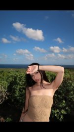 [image] - 709842.jpg