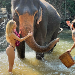 306_2025-08-31 17.35.18.PNG