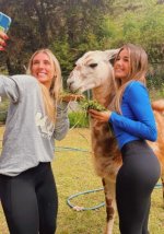 Captura de pantalla 2026-01-18 110514.jpg