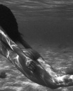 ariadna_hafez 491519208_18500897470027696_1805841677090941907_n.jpg