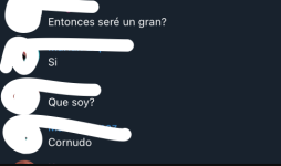 Captura de Pantalla 2026-02-12 a las 13.36.00.png