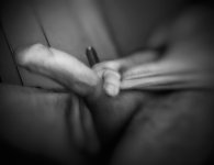 IMG_20260213_074013388 (1).jpg