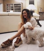 2017-06-22 17.29.44 1543028760948034157_243260741.jpg