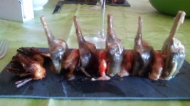 IMG-20170401-WA0004.jpeg