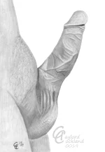 penis-erect-cock-with-open-glans-drawn-by-me-v0-o8444wglwsrg1.webp