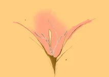 flower-by-me-v0-5eei9dp4d0rg1.webp