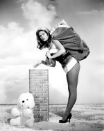 Elizabeth Montgomery[1].jpg