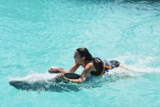 2018-03-20 10.53.39 1739243402796457878_243260741.jpg