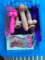 strapon 03527a4f_540.jpg