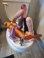 strapon e1fe5adc_540.jpg