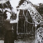 2012-09-20 19.00.40 284863867400708557_224824311.jpg