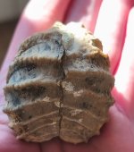 IMG_20260415_192455.jpg IMG_20260415_192455.jpg