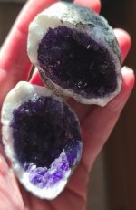 IMG_20260415_192520.jpg IMG_20260415_192520.jpg