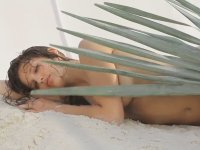 Emily-DiDonato-Topless-Behind-the-Scenes-of-Armani-Scent-Shoot-02.jpg