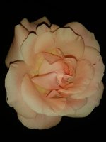 20150517_214155.jpg