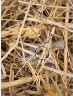 IMG_20231123_161429_138.jpg IMG_20231123_161429_138.jpg