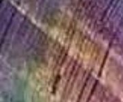 IMG_20231124_151218_724.jpg IMG_20231124_151218_724.jpg