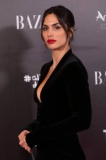 1701174935.jpg