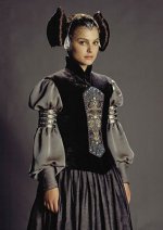 Amidala traje gris acero (torso).jpg