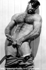 3294558_1_3.jpg