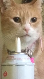 tumblr_oeg4eb73Sa1qzcg6lo3_500.jpg
