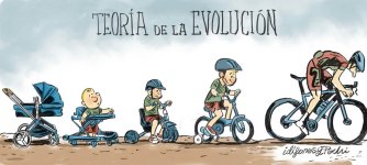 Evolutiva..jpg