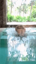 H7.gif