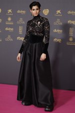 alfombra-roja-de-los-premios-goya-2024-35.jpeg