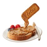 0010370_crema-galleta-biscoff-lotus-8-kg_540.jpeg